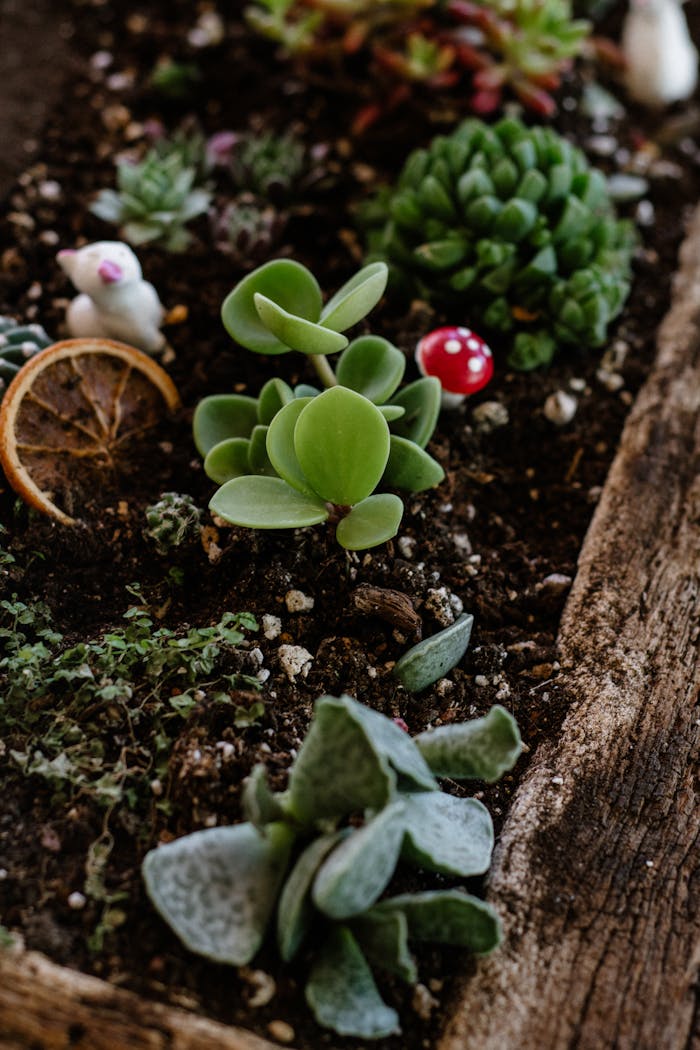 Rustic succulent garden with assorted plants and miniature decorations for interior decor inspiration.