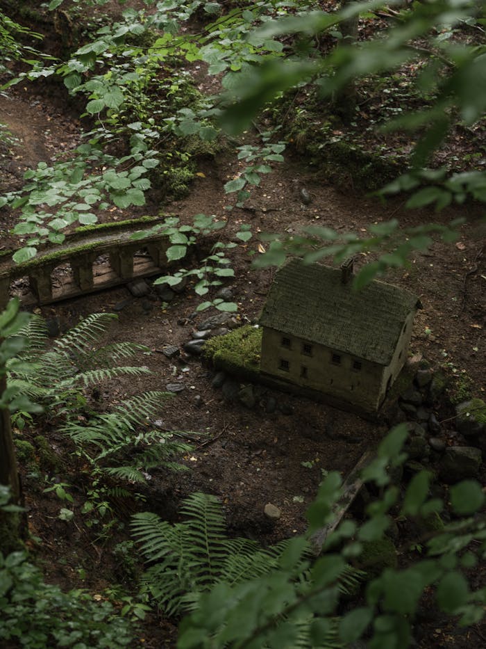 Aerial view of a charming miniature house and mossy bridge amidst lush forest foliage.